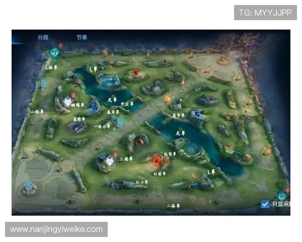 王者荣耀热点分析：深入解读WE战队的防守策略与战术布局